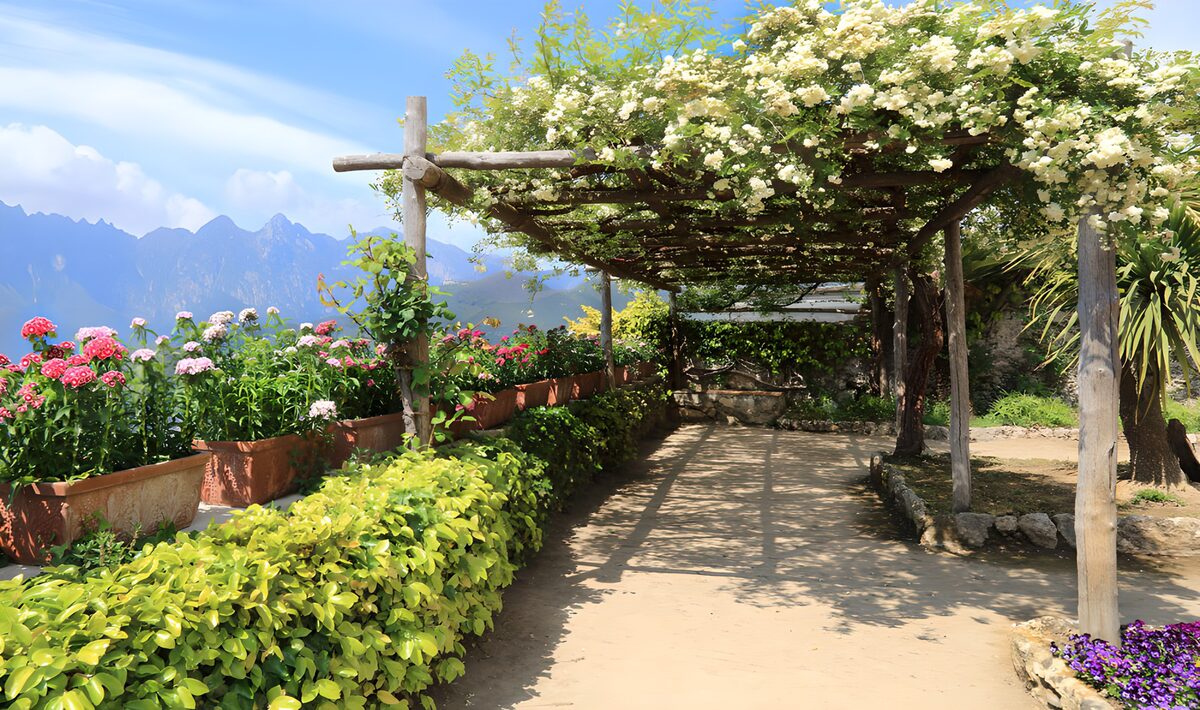 Sunlit pergola with a mountain view