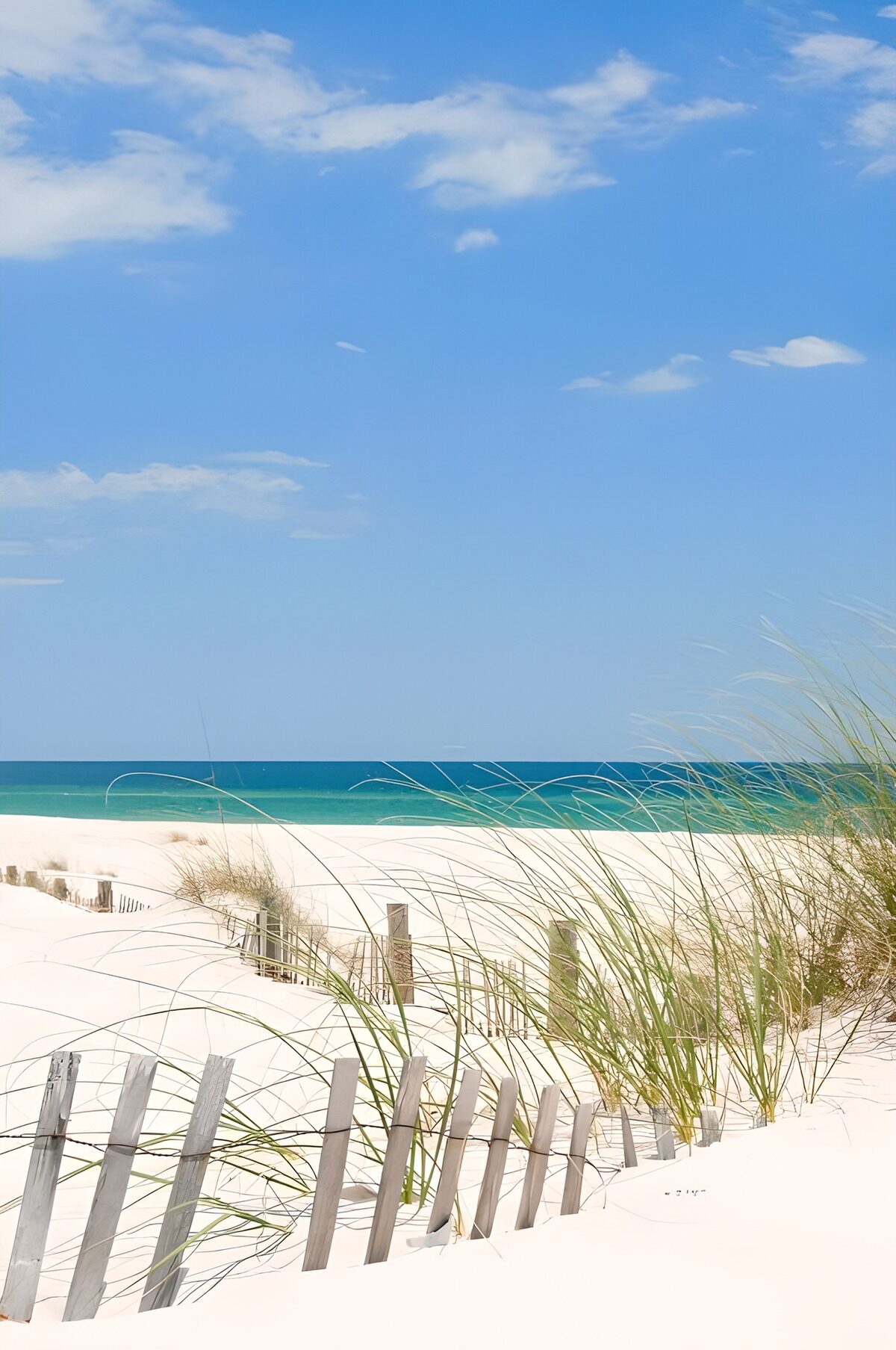 Sandy dunes, wooden fences and blue skies