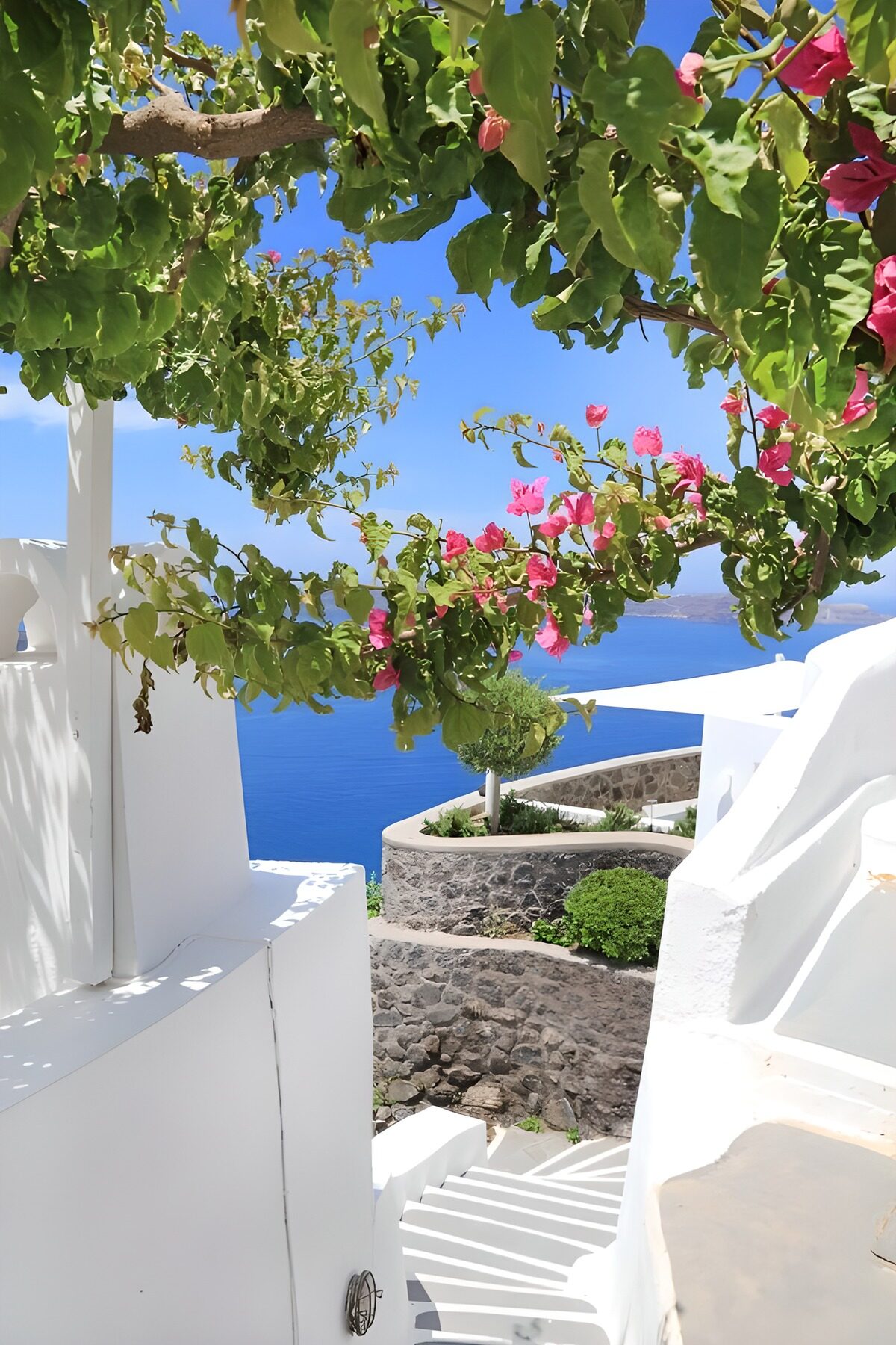 White steps and pink blooms by the sea