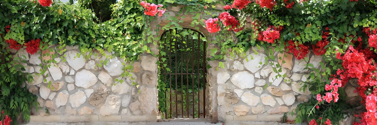 Sunlit stone wall with a flower-framed gate