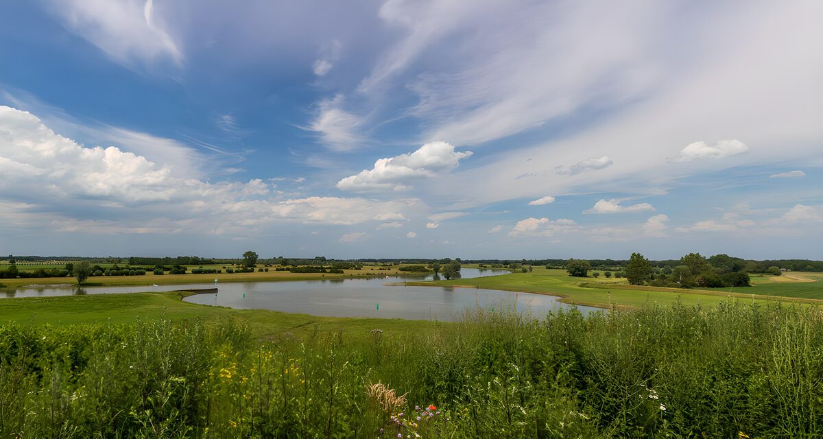 Grassy banks and a pond beneath blue skies