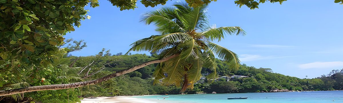 Where palm shade meets turquoise
