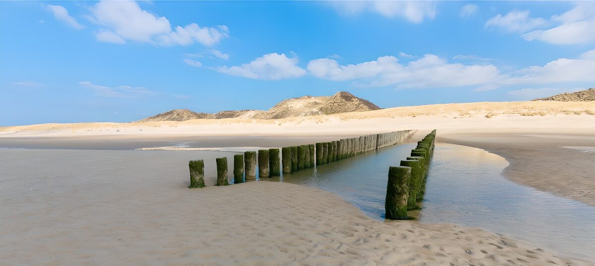 Beach posts drawing lines into the blue
