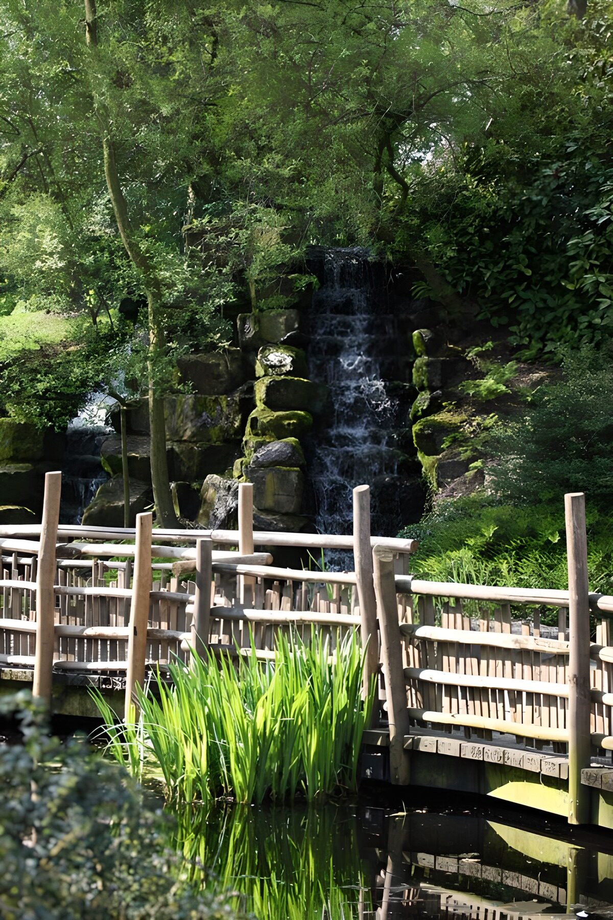 Wooden bridge by a shaded waterfall