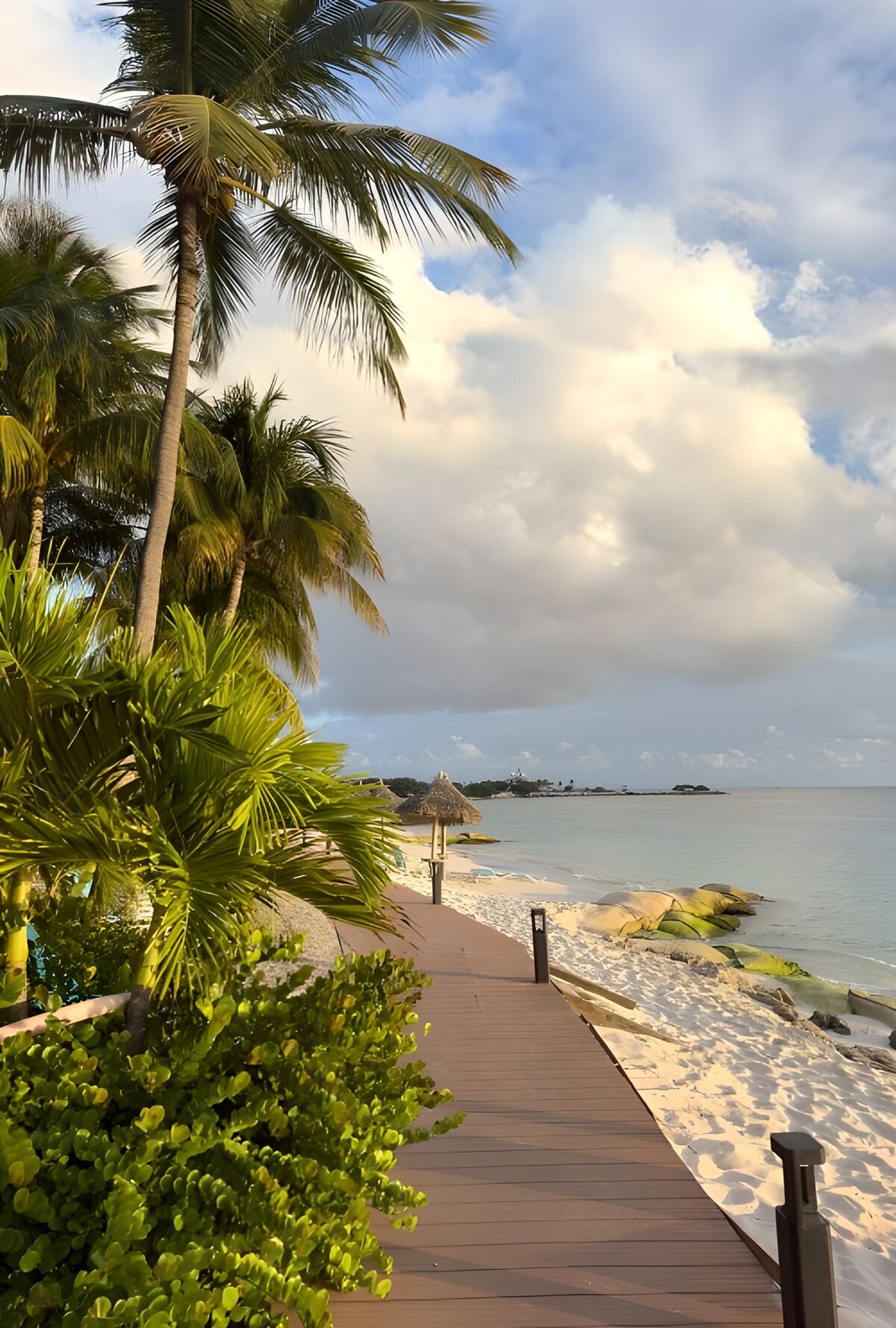 Palm-lined boardwalk in warm coastal light