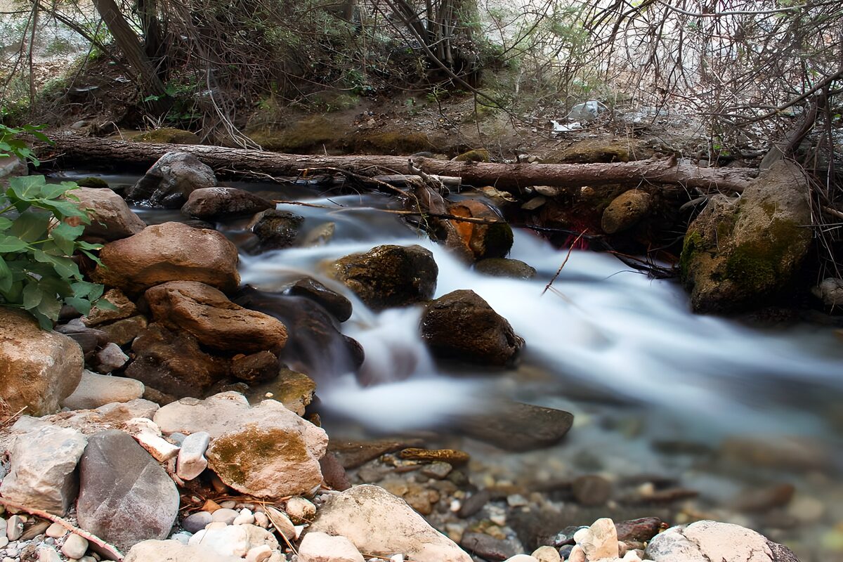 A ribbon of water through the woods