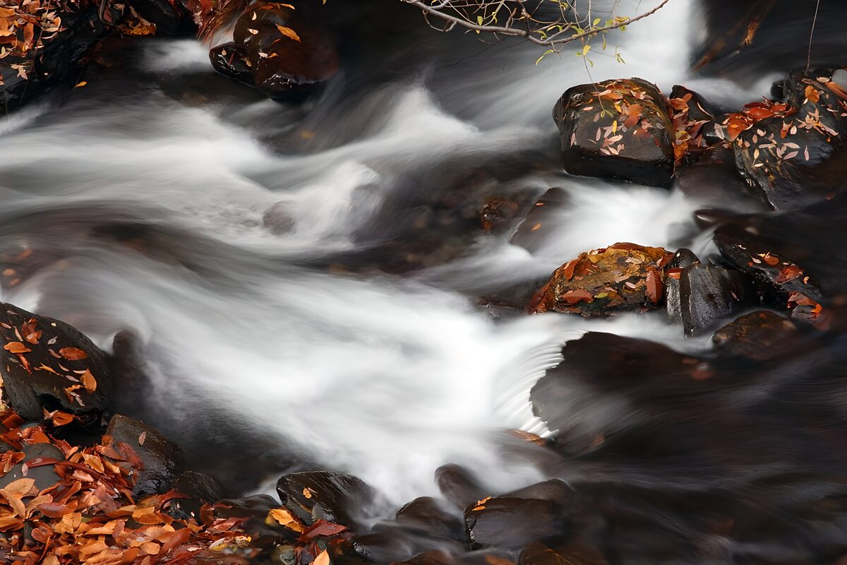 Autumn stream over dark, glistening rocks