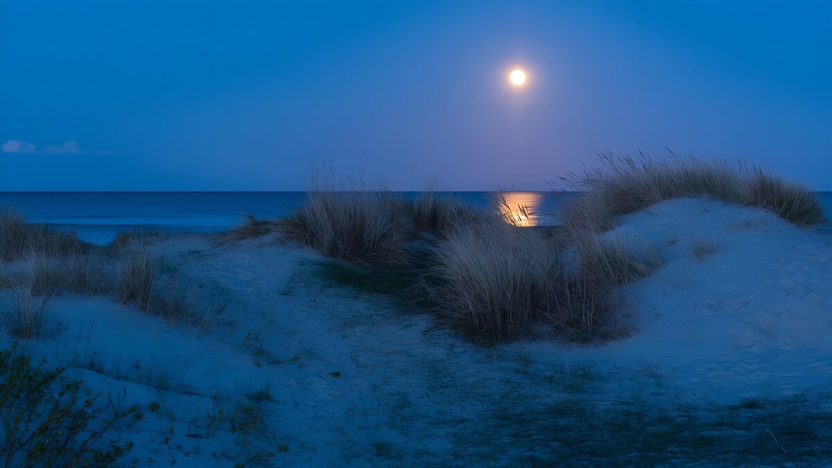 Full moon over grass-covered dunes