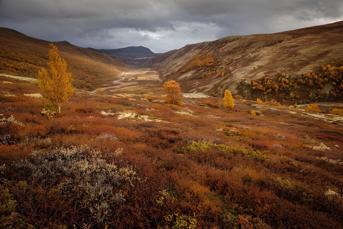 Autumn valley beneath brooding clouds