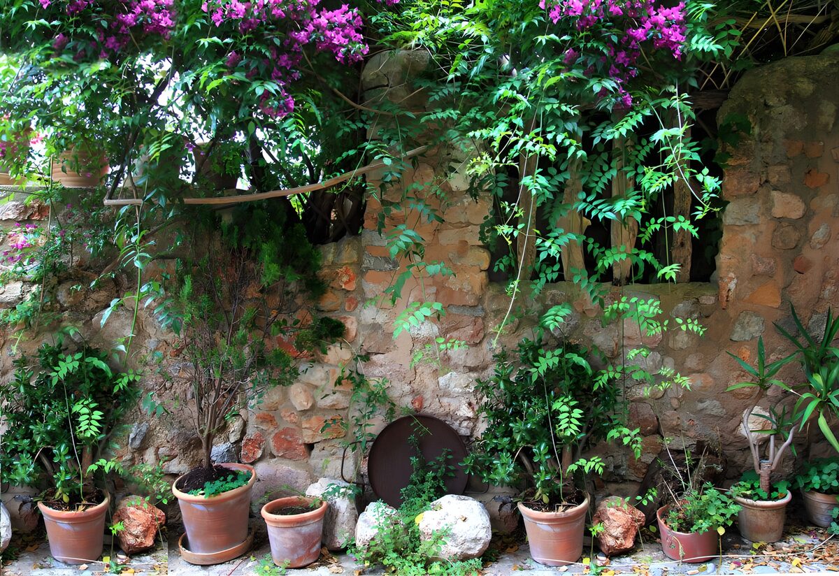 Terracotta pots against timeworn stone