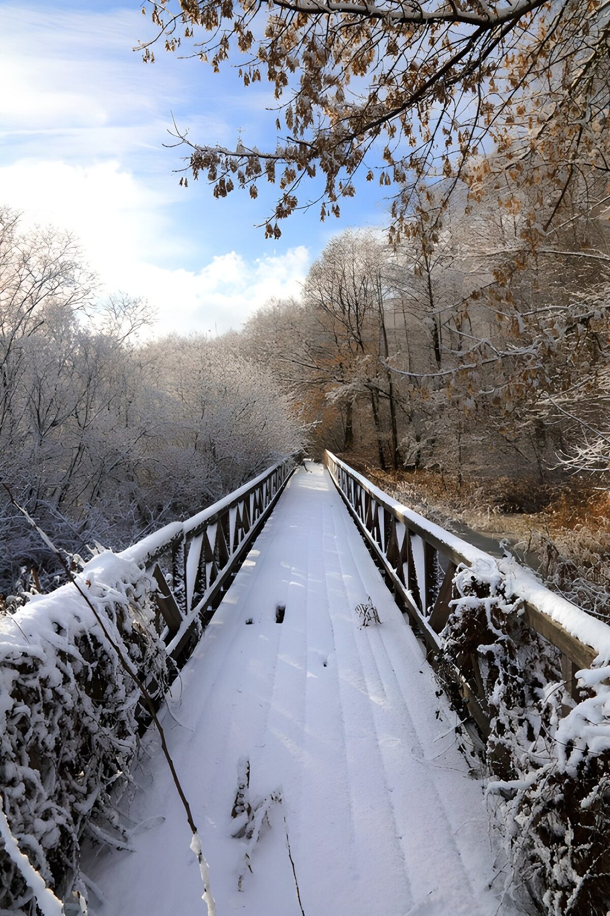 Snow-covered footbridge in winter sunlight