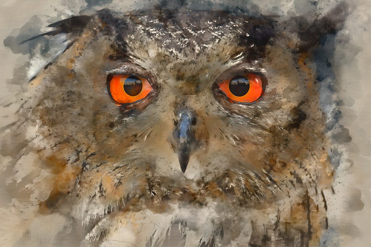 Watchful owl in watercolour
