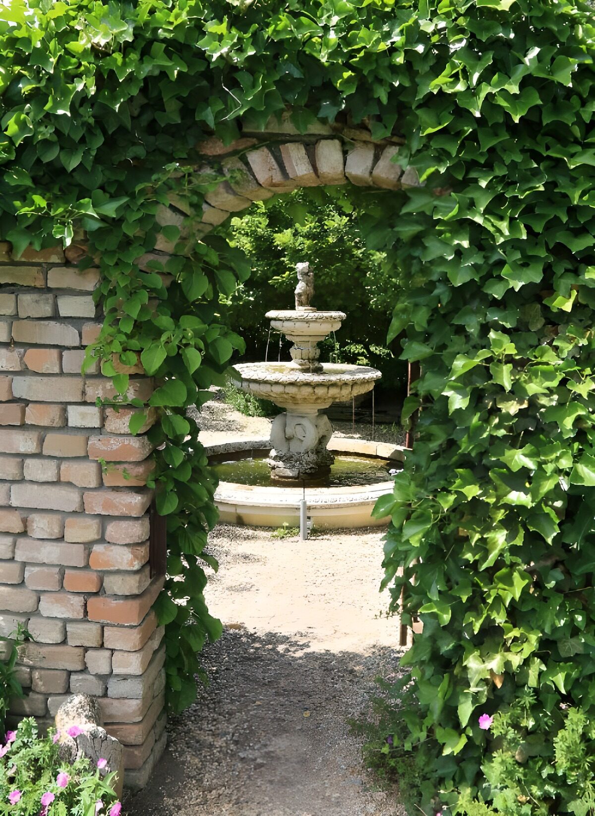 Garden fountain framed by ivy and brick
