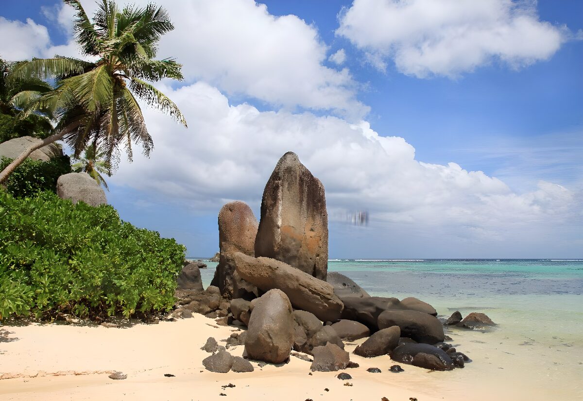 Sunlit beach with palms and twin rocks
