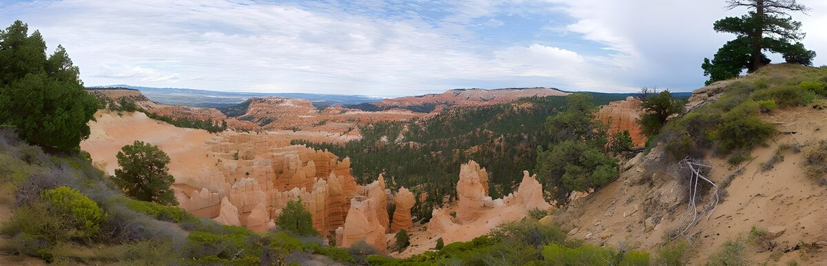 Peach rock towers and evergreen woodland