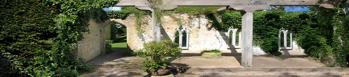 Sunlit courtyard within leafy ruins