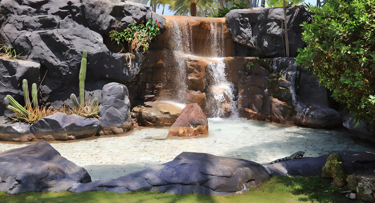 Sunlit waterfall and a resting iguana