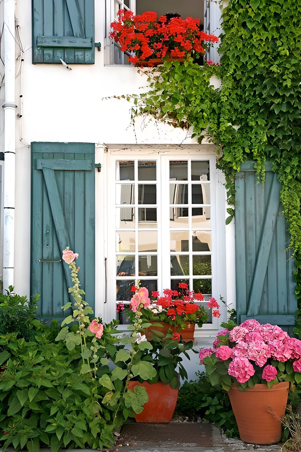 Blue-green shutters and summer flowers