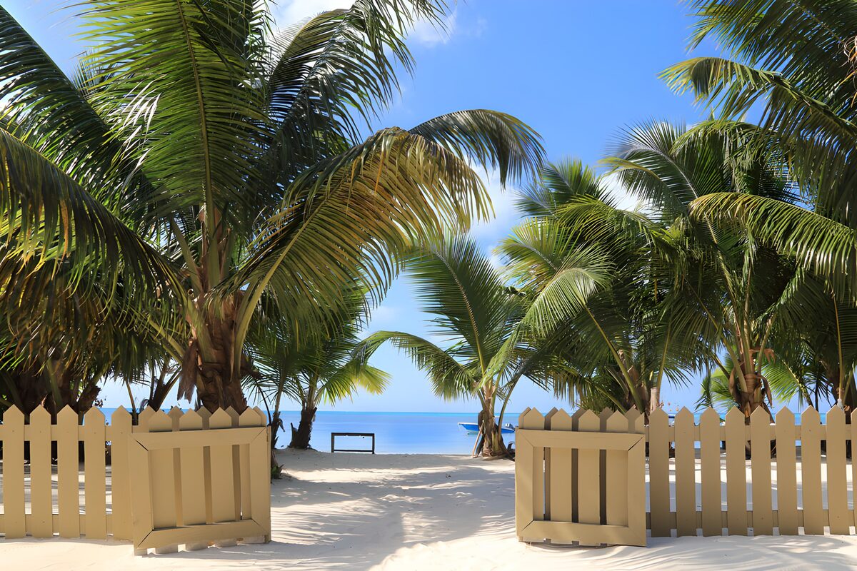 Open beach gates beneath sunlit palms