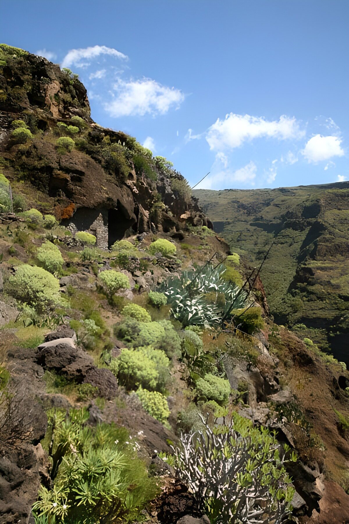 Sunlit rocks above a green gorge