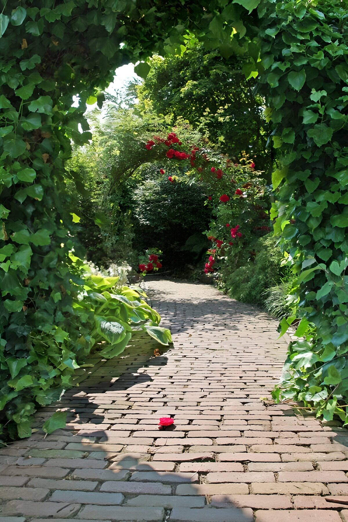 Shaded brick path beneath an ivy arch