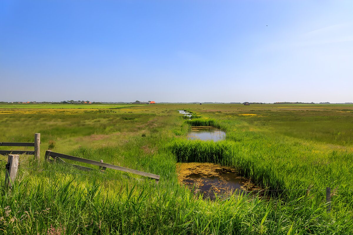 Meadow ditch beneath a wide blue sky