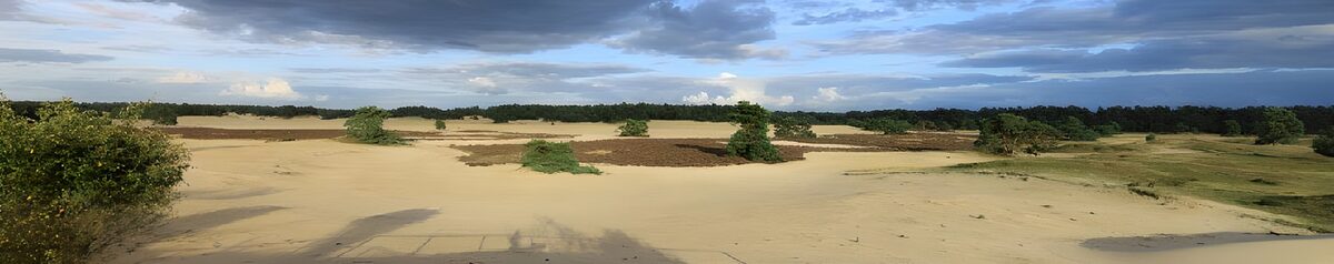 Sunlit dunes beneath blue-grey clouds