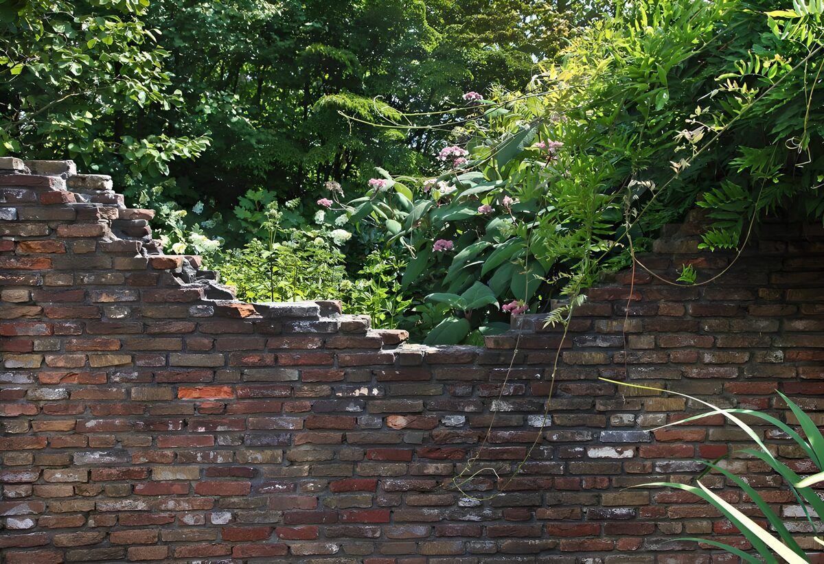 Old brick wall in a wild garden