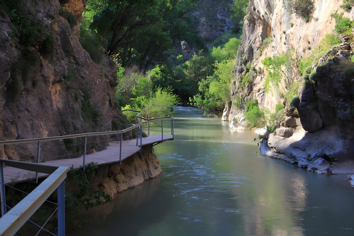 River and boardwalk in a shaded gorge