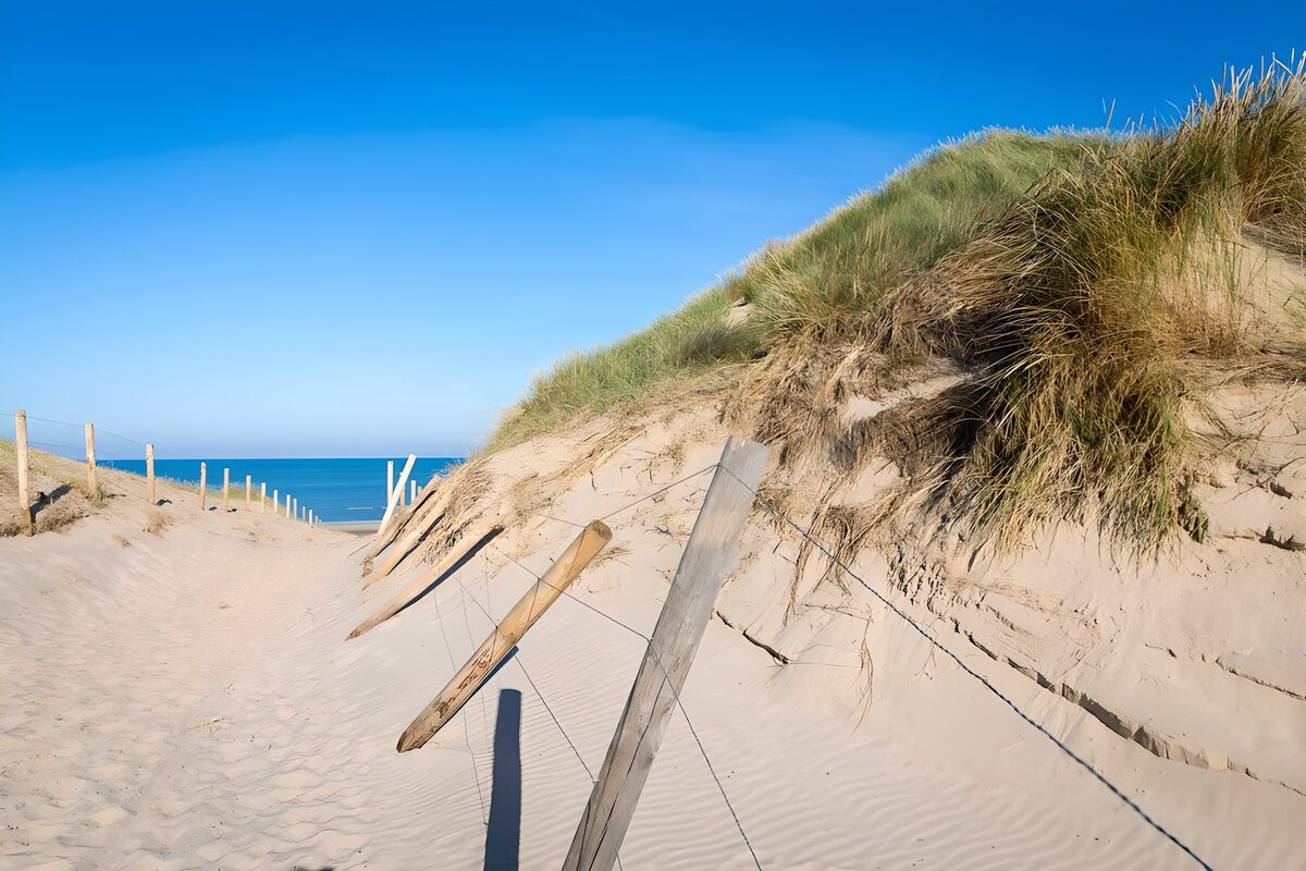 Sunlit dune path to the blue sea