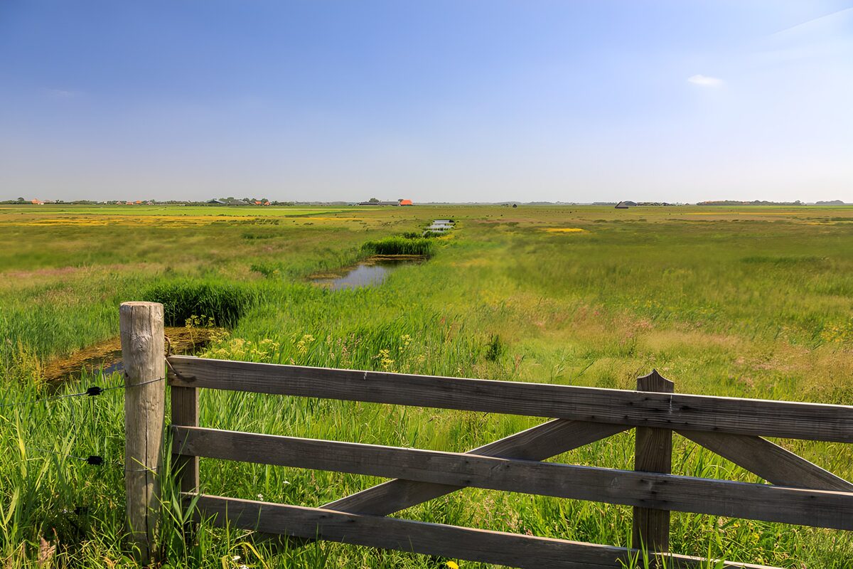 Wooden gate across open grassland