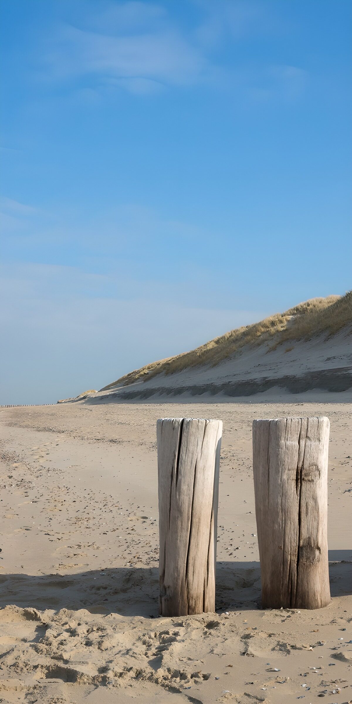 Two weathered posts on a sunlit beach