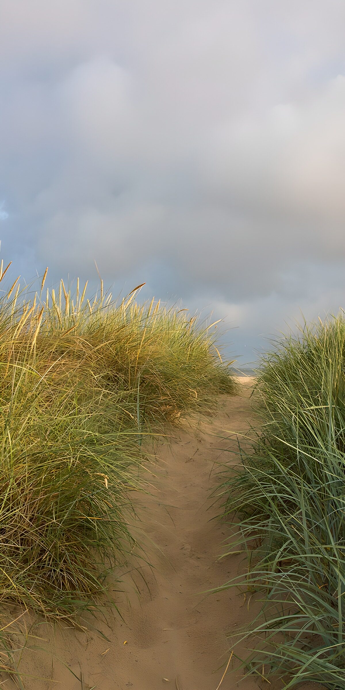 Sandy dune path under a moody sky