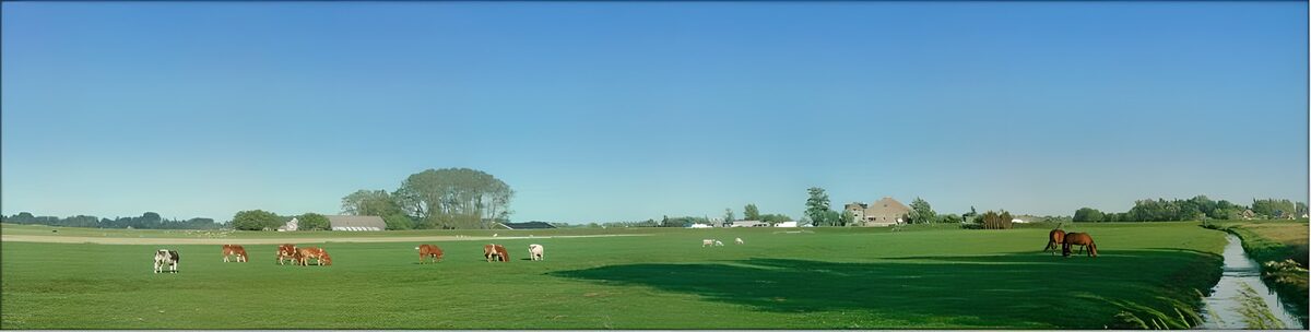 Cattle and horses in a green meadow