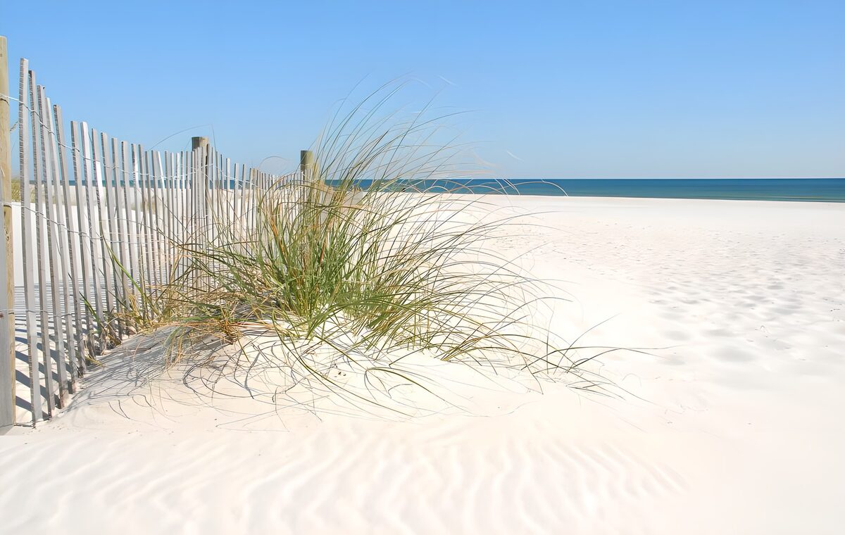 Wooden fence and dune grass by the sea