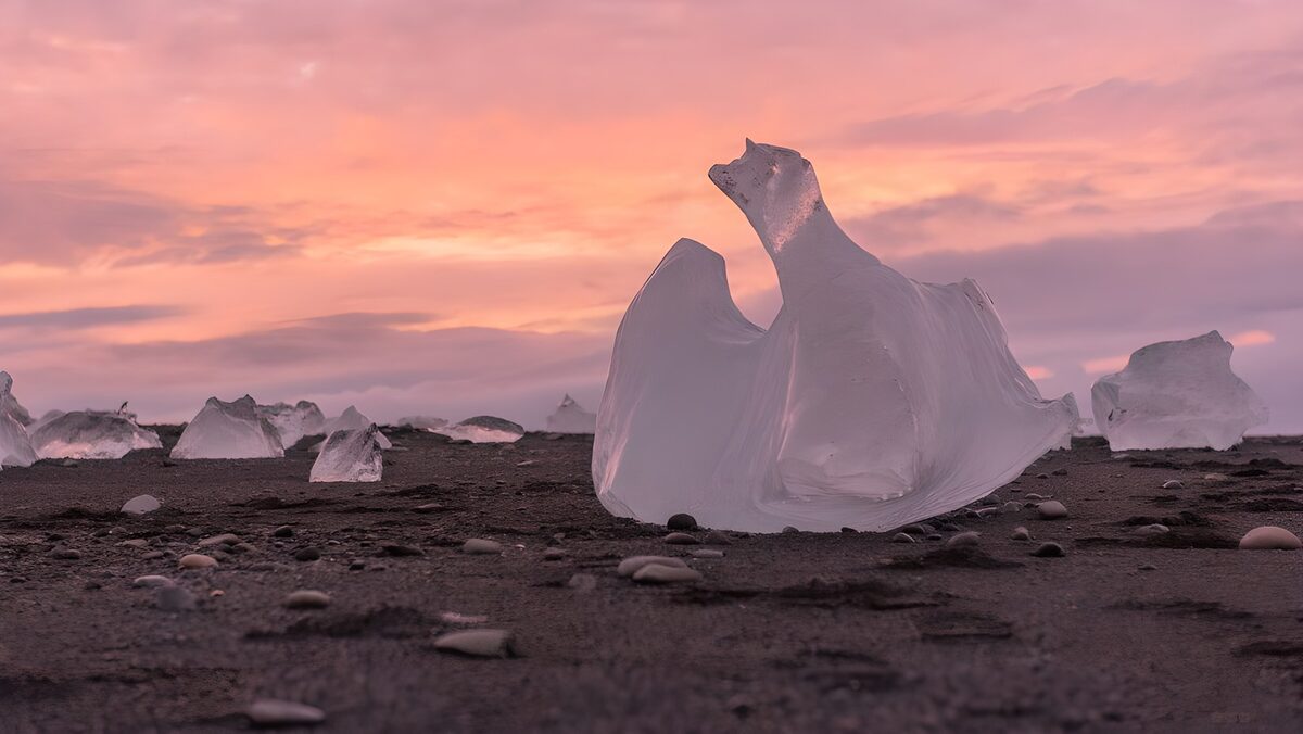 Ice blocks on black sand under a pink sky