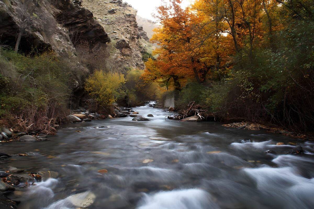 Autumn stream in a shaded gorge