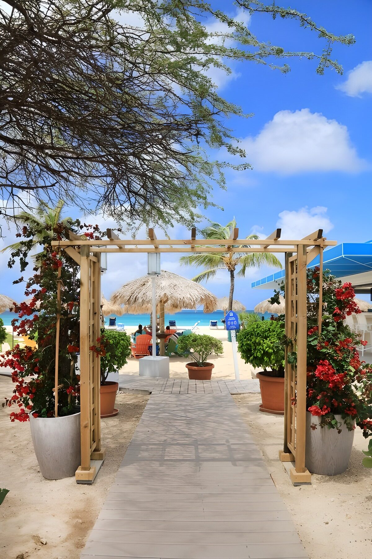 Wooden arch above a sunlit beach path