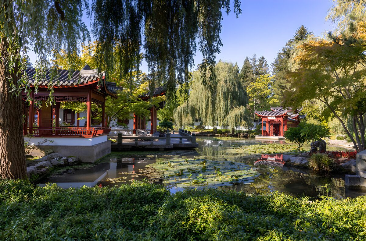 Red pavilions beside a sunlit lily pond