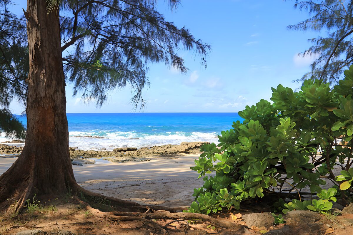 Blue sea beyond a tree-shaded beach