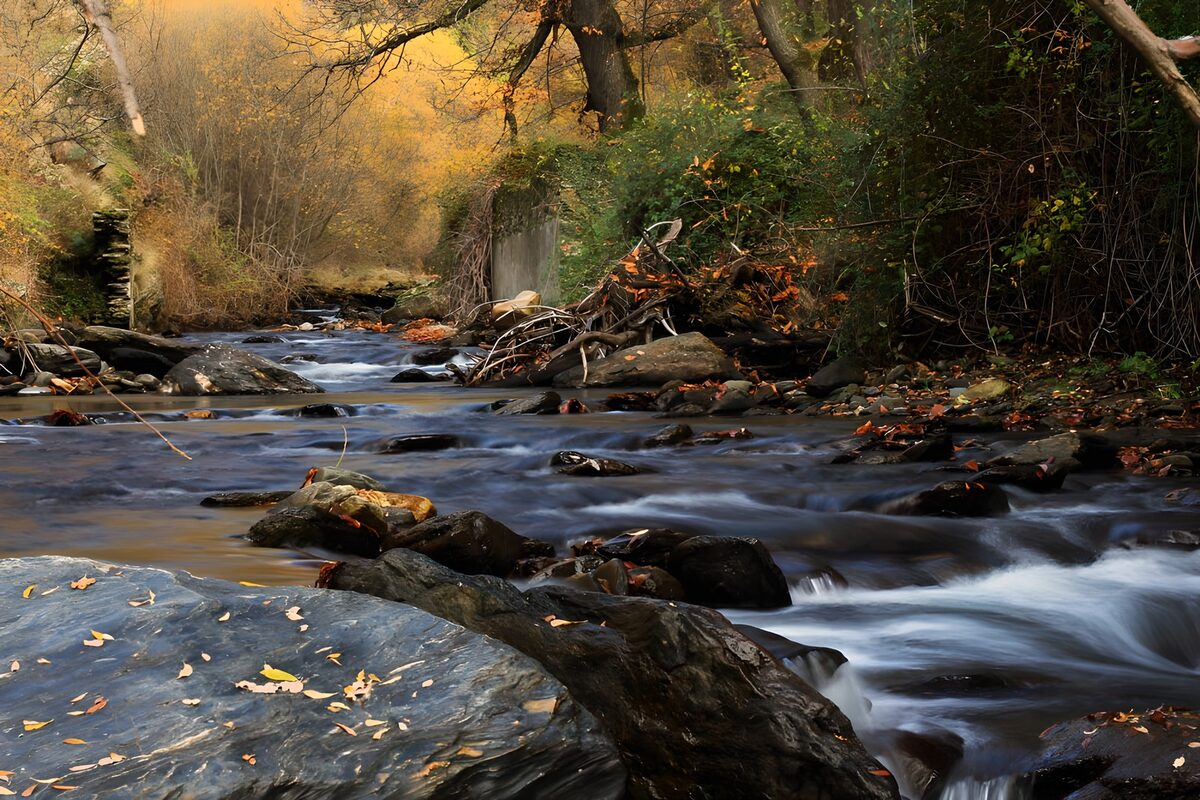 Rocky woodland stream in autumn