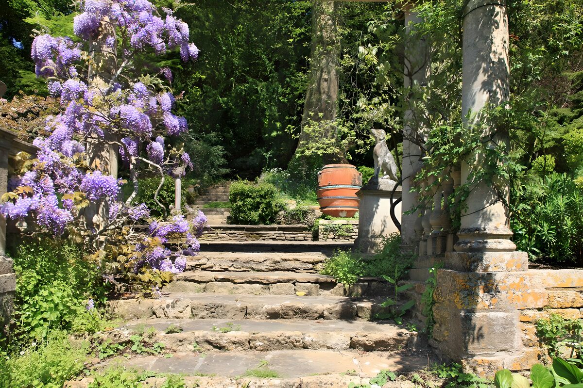 Wisteria and worn stone garden steps