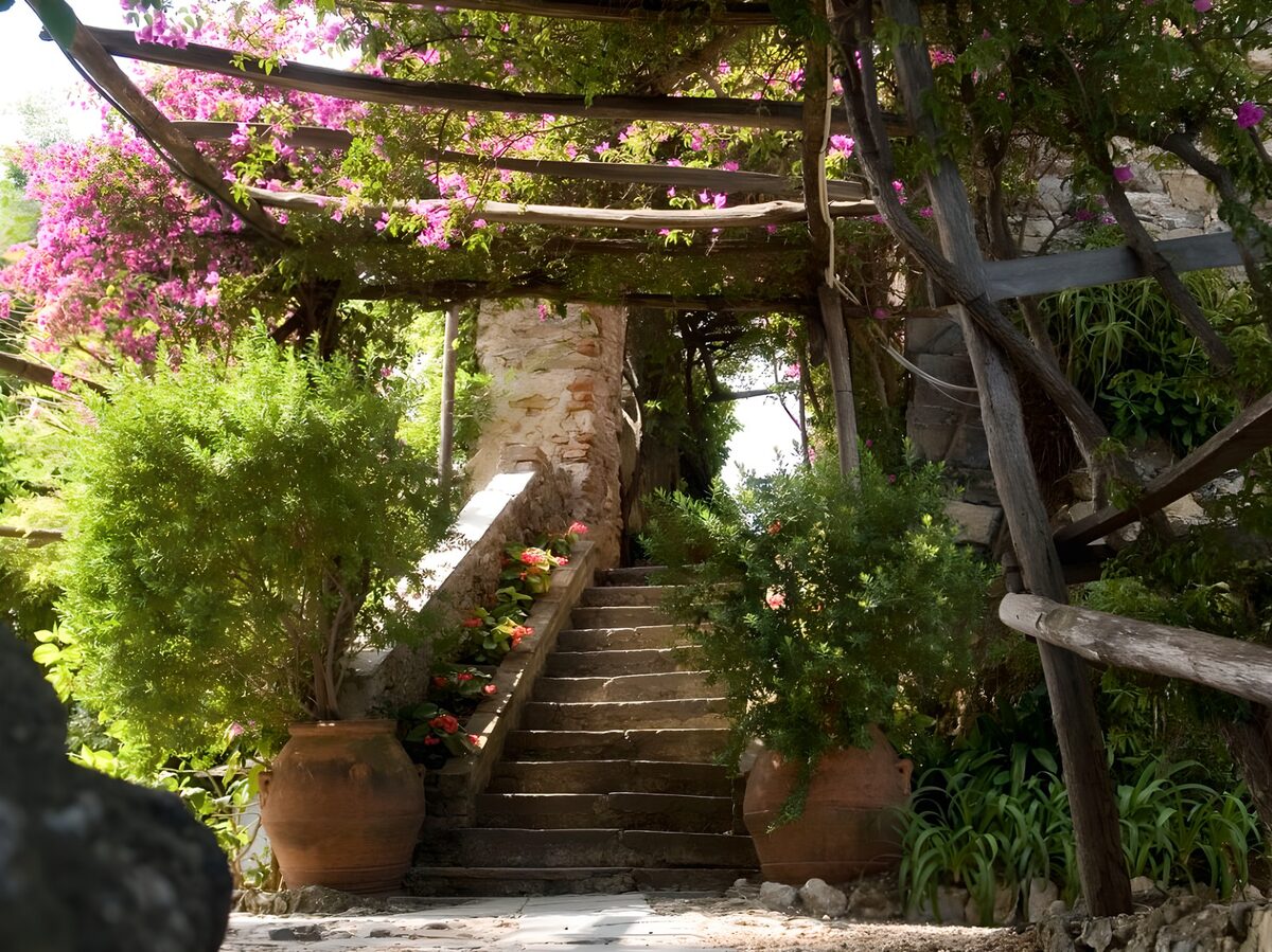 Stone steps under a pink-flowered pergola