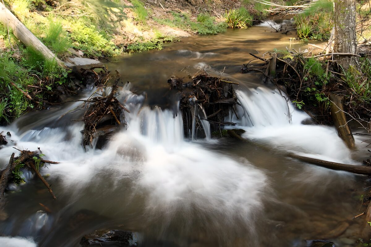 Woodland stream over shaded rocks