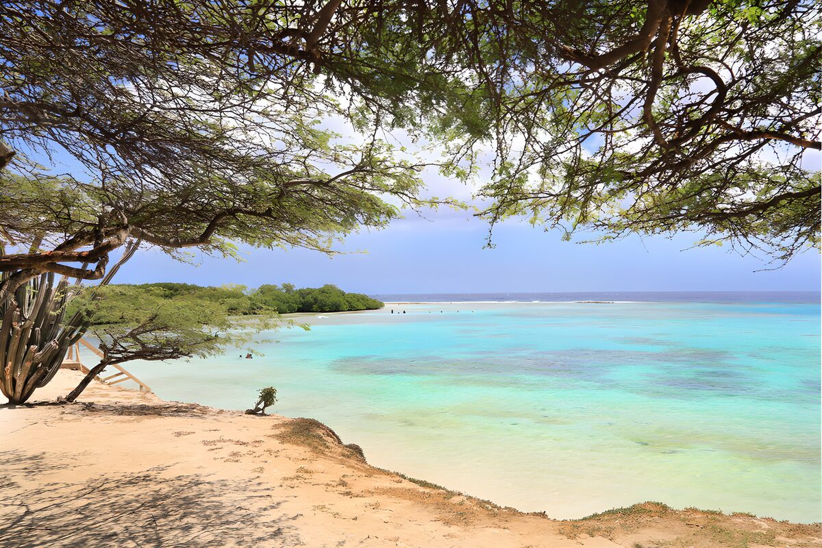 Tree-shaded beach beside turquoise water