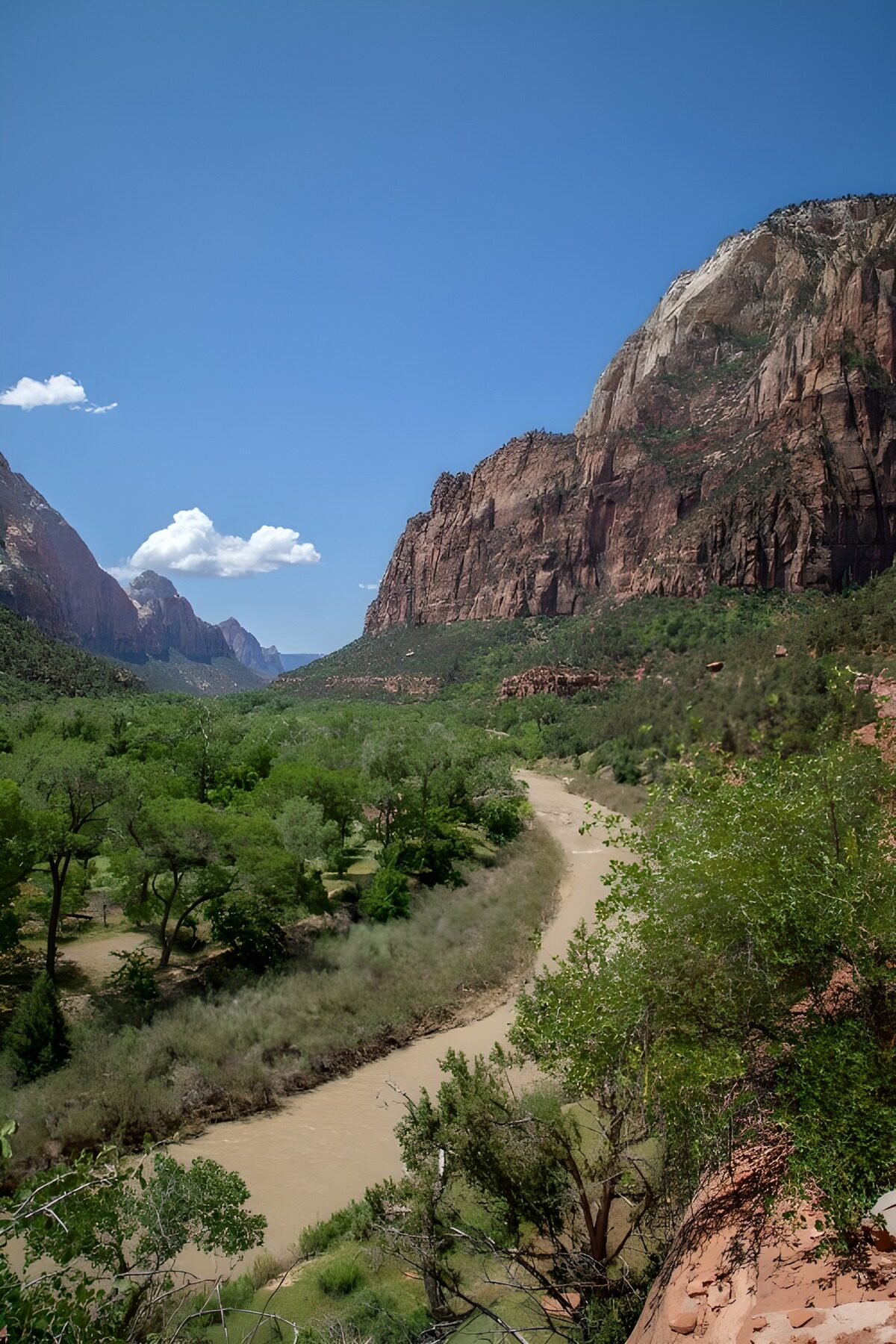 Winding river beneath sunlit canyon cliffs