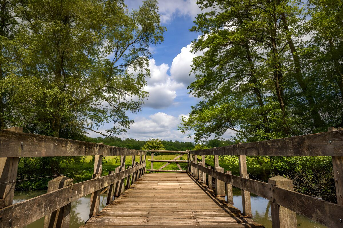Wooden footbridge on a quiet summer day