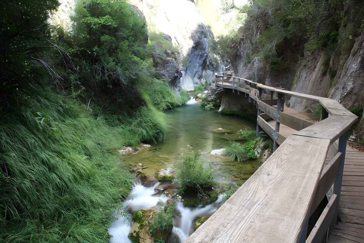 A quiet boardwalk beside the gorge stream
