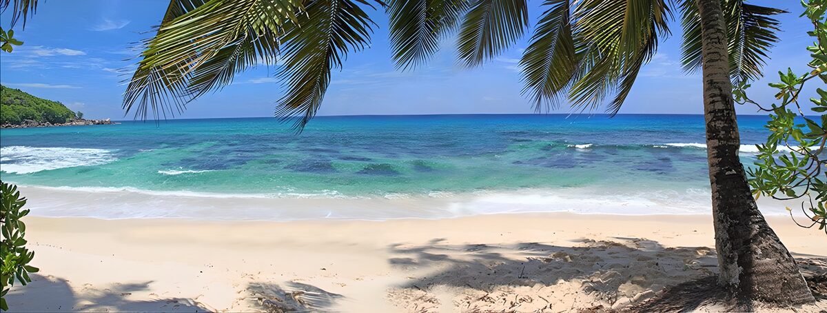 Sunlit beach with palms and turquoise sea