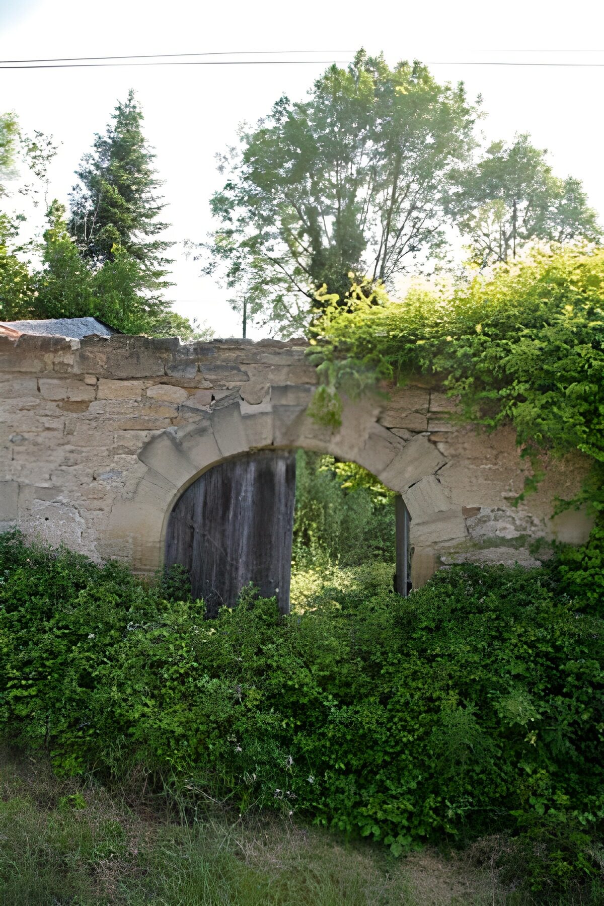 Old stone gateway amid summer greenery